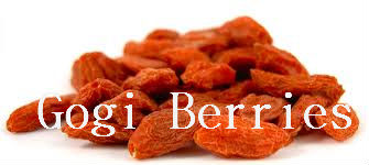 What are Goji Berries